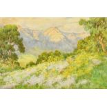 Hilda Mary Sides (19th/20th Century), wildflowers in a mountain landscape, watercolour, signed,