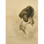 Maud Earl, a flat-coated retriever with a rabbit in its mouth, photogravure, 13.5" x 9.5".