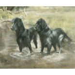 Marion, Circa 1990, a scene of flat-coated retrievers in a river, watercolour, signed and inscribed,