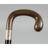 AN ANTIQUE RHINO HORN HANDLE WALKING STICK, with silver band, 90cm long.