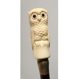 A BONE HANDLED WALKING STICK CARVED AS AN OWL. 35ins long.
