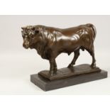 A LARGE BRONZE BULL on a rectangular marble base. 19ins long.