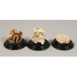 THREE SMALL MARINE SPECIMENS on wooden bases. 3.5ins high.