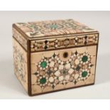 A VERY GOOD 19TH CENTURY MARBLE INLAID BOX AND COVER inset with specimen marbles. 6.5ins long,