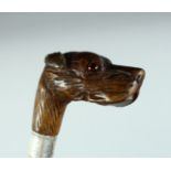 AN EDWARD VII WALKING STICK with carved dog handle. London 1903, 35ins long.