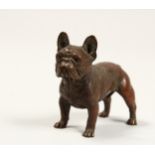 A SMALL VIENNA BRONZE OF A BULLDOG. 3ins long.