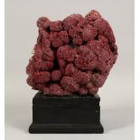 A LARGE RED CORAL SPECIMEN on a wooden base 9ins high.