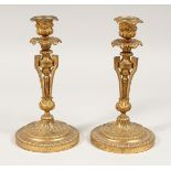 A GOOD PAIR OF LOUIS XVI ORMOLU CANDLESTICKS on circular bases. 9ins high.