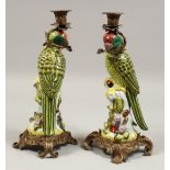 A LARGE PAIR OF PORCELAIN ORMOLU MOUNTED PARROT CANDLESTICKS. 14ins high.