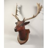 A FINE SPECIMEN STAG'S HEAD on a wooden shield.