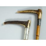 TWO VICTORIAN CANE RIDING CROPS with bone handles and silver band. 17ins and 23ins long.