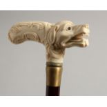 A BONE HANDLED WALKING STICK CARVED AS A DUCK'S HEAD. 35ins long