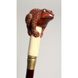 A BONE HANDLED WALKING STICK CARVED AS A TOAD. 35ins long