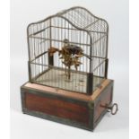 A SUPERB VICTORIAN SINGING BIRD IN A CAGE standing on a branch, the cage 12ins high, on a wooden
