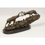 A PAIR OF BRONZE RUTTING STAGS on a rocky and marble base. 18ins long.