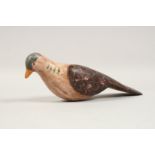 A PAINTED DECOY WOODEN PIGEON. 14ins long.