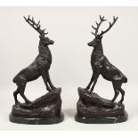 AFTER J. MOIGNIEZ A PAIR OF BRONZE STAGS on a marble base. Signed. 17ins high,