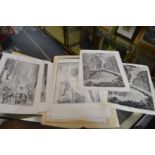 A group of unframed engravings.