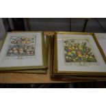 Framed and glazed colour prints depicting fruits and months of the year.