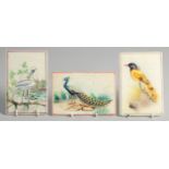 THREE GOOD INDIAN PAINTINGS OF BIRDS ON ALABASTER, each 15cm x 10cm, (3).