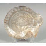 A RARE 18TH/19TH CENTURY INDIAN MOTHER OF PEARL SHELL, with engraved circle and dot pattern, 18.