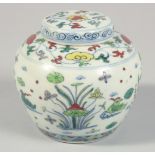 A SMALL CHINESE DOUCAI PORCELAIN GINGER JAR AND COVER painted with ducks and aquatic flora. 9cm