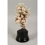 A LARGE CORAL SPECIMEN on a wooden stand. 8ins high.