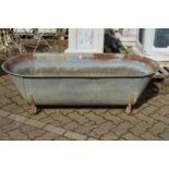 A large galvanised bath/planter.