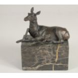 A SMALL BRONZE OF A DEER. 5.5ins long on a marble base.