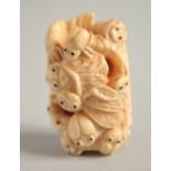 A CARVED BONE BUG NETSUKE. Signed, 1.75ins.