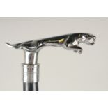 A CHROME JAGUAR HANDLE WALKING STICK 3ft long.