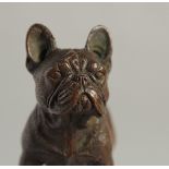 A BRONZE BULLDOG