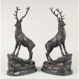 AFTER J MOIGNIEZ A PAIR OF BRONZE STAGS on an oval marble base.