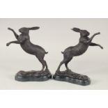 A PAIR OF BRONZE FIGHTING HARES on marble bases. 4ft 4ins high.