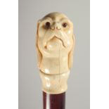 A CARVED BONE HANDLE WALKING STICK, KING CHARLES SPANIEL. 2ft 11ins long