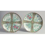 A PAIR OF CHINESE CANTON FAMILLE ROSE PORCELAIN PLATES, each painted with panels of native flora,