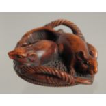 A 19TH/20TH CENTURY JAPANESE CARVED WOOD NETSUKE of two rats in a wicker basket, signed, 3.5cm.