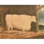 William Ward (1766-1826) after George Garrard, 'The Durham White Ox', mezzotint, published 1813,