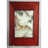 A GOOD CHINESE PORCELAIN PANEL in a wooden frame, painted with a reclining tiger, inscribed and with
