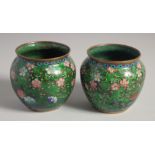 A GOOD PAIR OF GREEN GROUND ENAMELLED CLOISONNE JARS, decorated with flowers, 7.5cm high.
