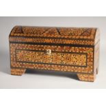 A GOOD SYRIAN MARQUETRY MIXED WOOD DOMED TOP CASKET, inlaid with mother of pearl, including key