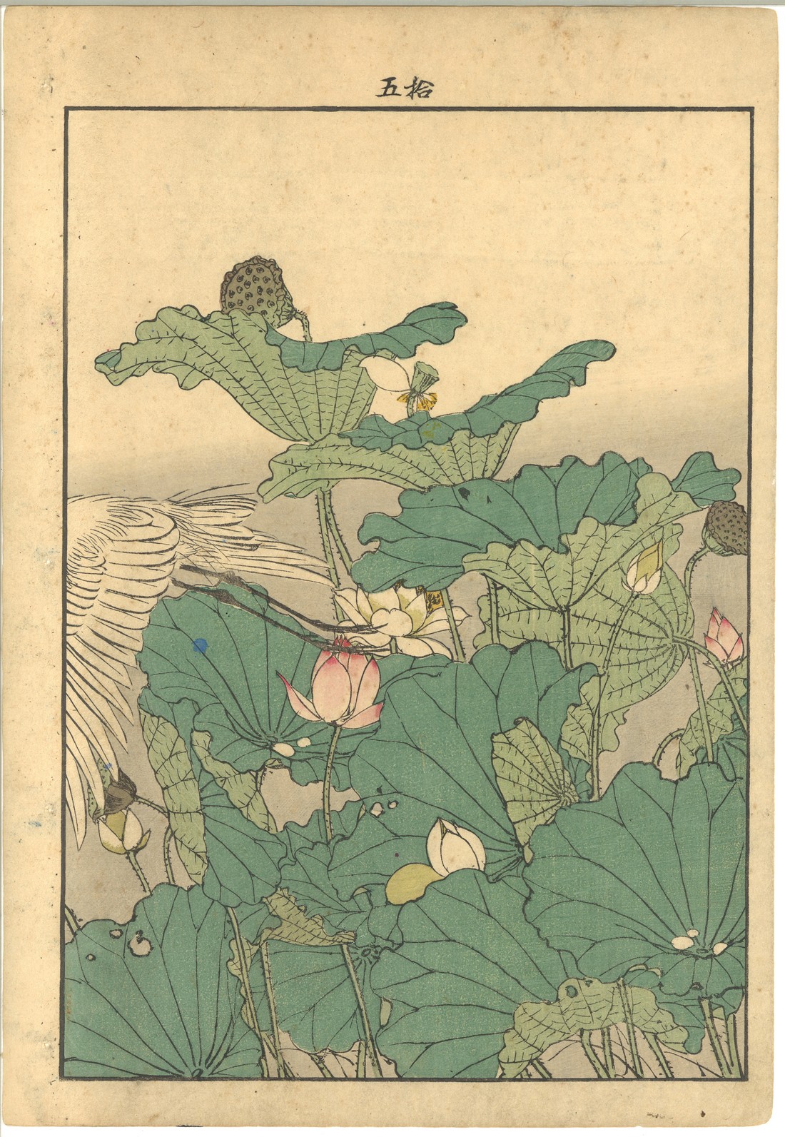 A COLLECTION OF TWELVE VARIOUS 19TH / 20TH CENTURY JAPANESE WOODBLOCK PRINTS; various artists, - Image 8 of 12