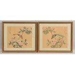 A PAIR OF CHINESE PAINTINGS ON SILK, each depicting a bird on a floral branch, inscribed and with