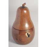 A POLISHED WOOD PEAR TEA CADDY. 7.5ins high.