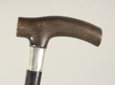 A RHINO HANDLE WALKING STICK with silver band. 33ins long.