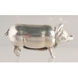 A PIG VESTA. 1.75ins