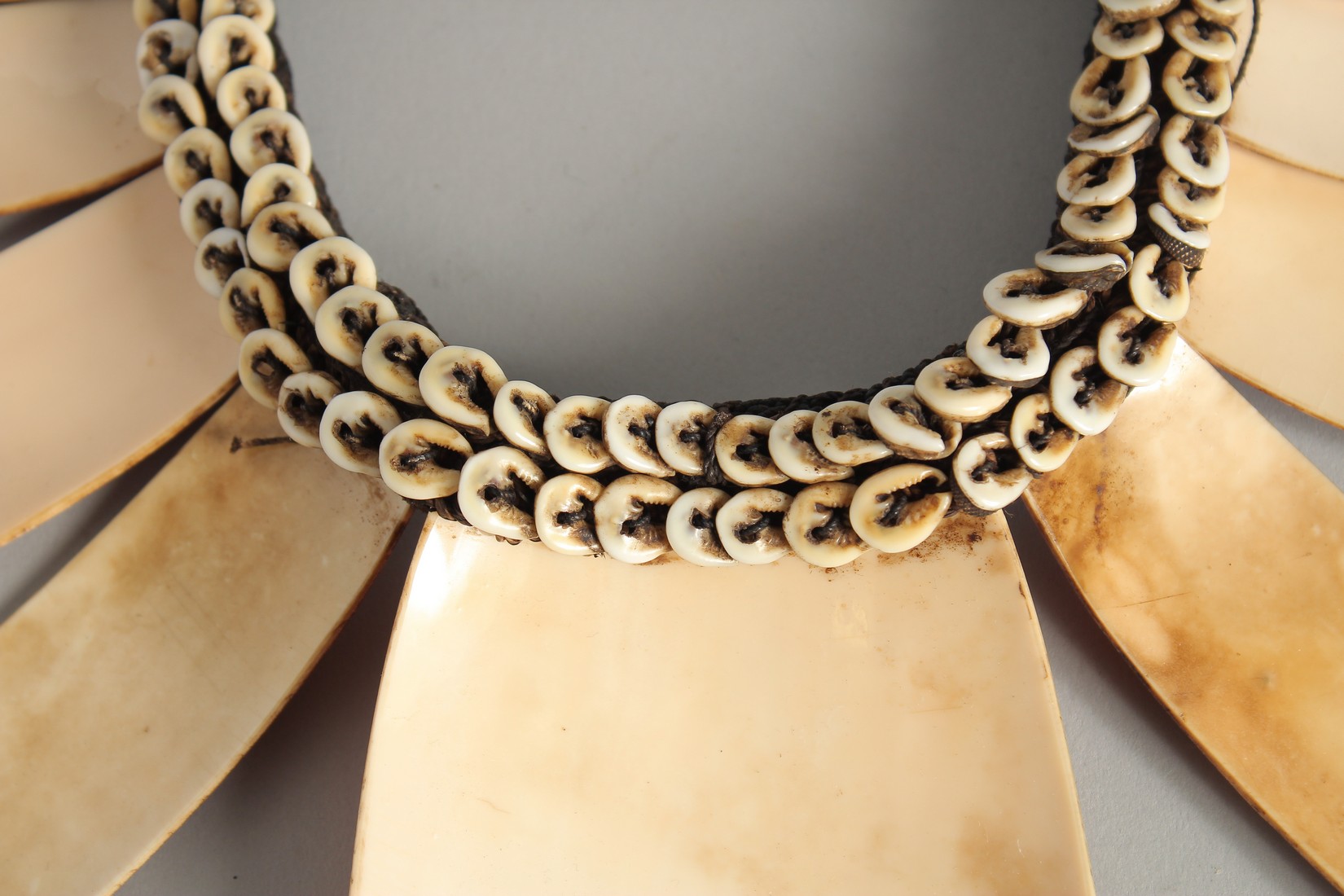 A PACIFIC ISLANDS SHELL PECKERY (NECKLACE). - Image 3 of 3