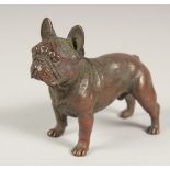 A BRONZE BULLDOG. 3.5ins long.