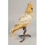 A SMALL VIENNA BRONZE PARROT. 11ins high.