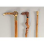 THREE WALKING STICKS.